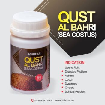 Qust Al Bahri (Sea Costus)